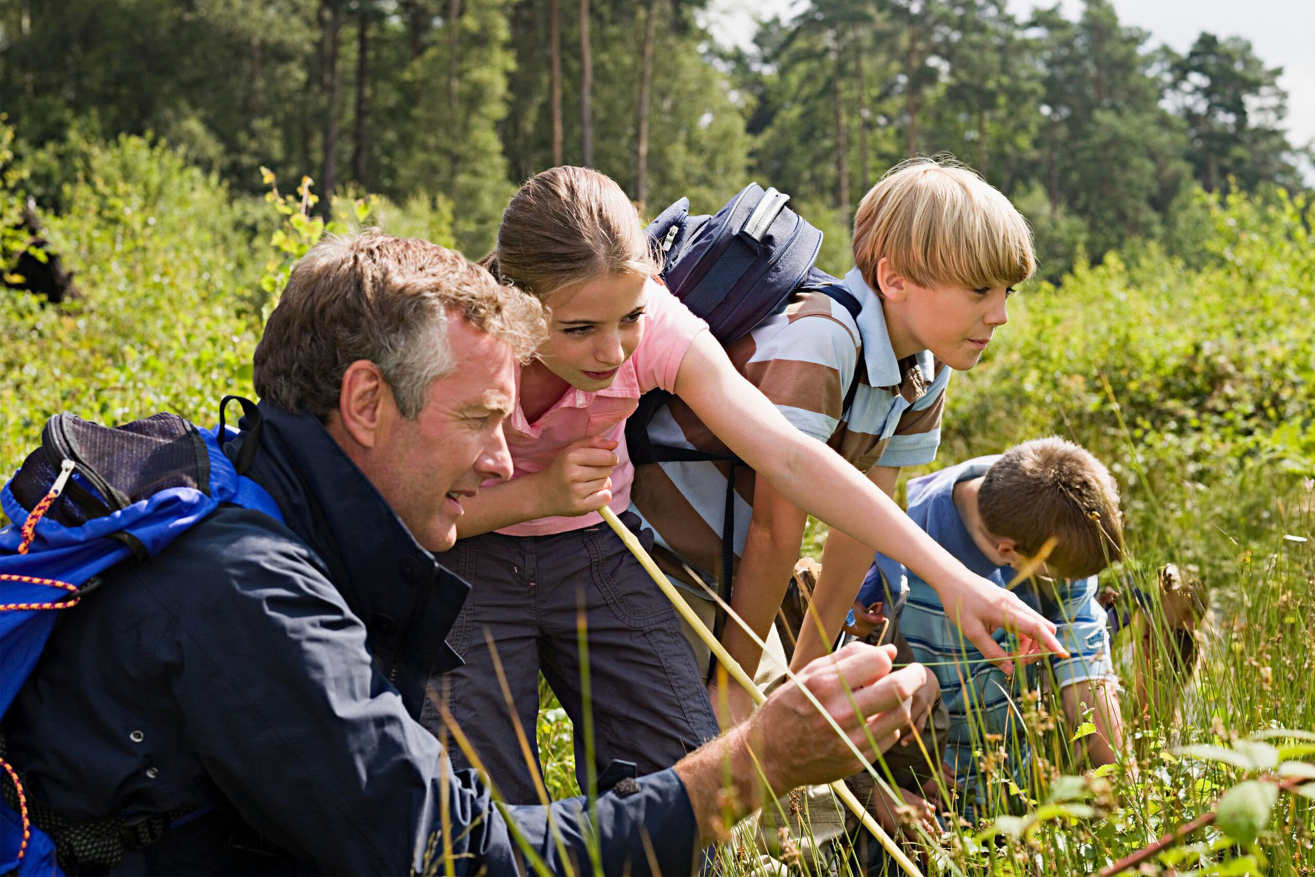 Activités pédagogique en pleine nature