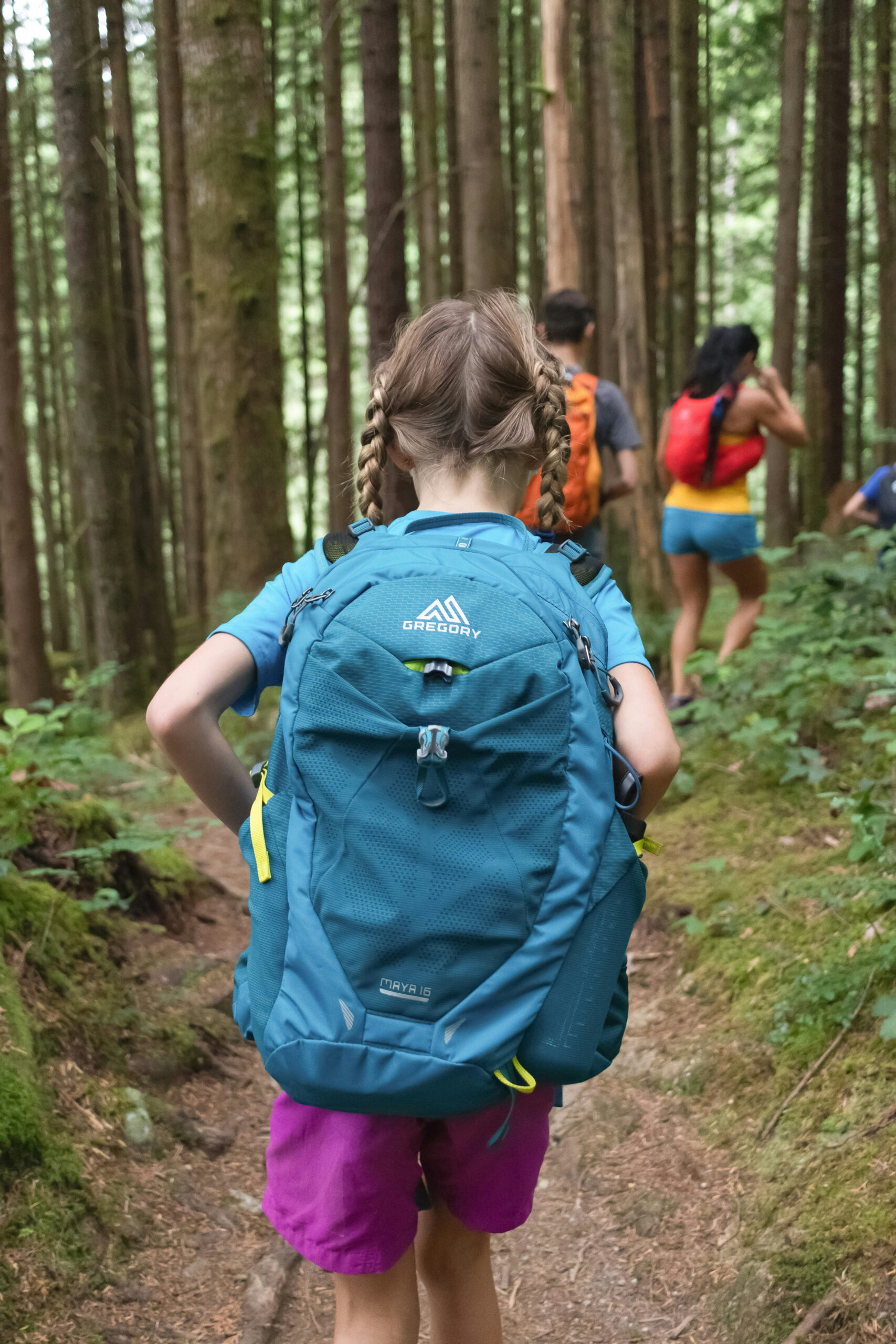 Randonnée en pleine nature